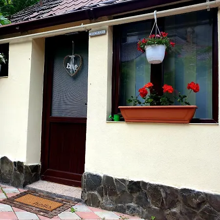One Brasov