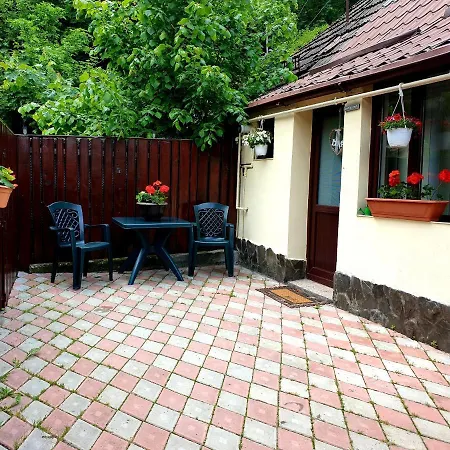 One Apartment Brasov